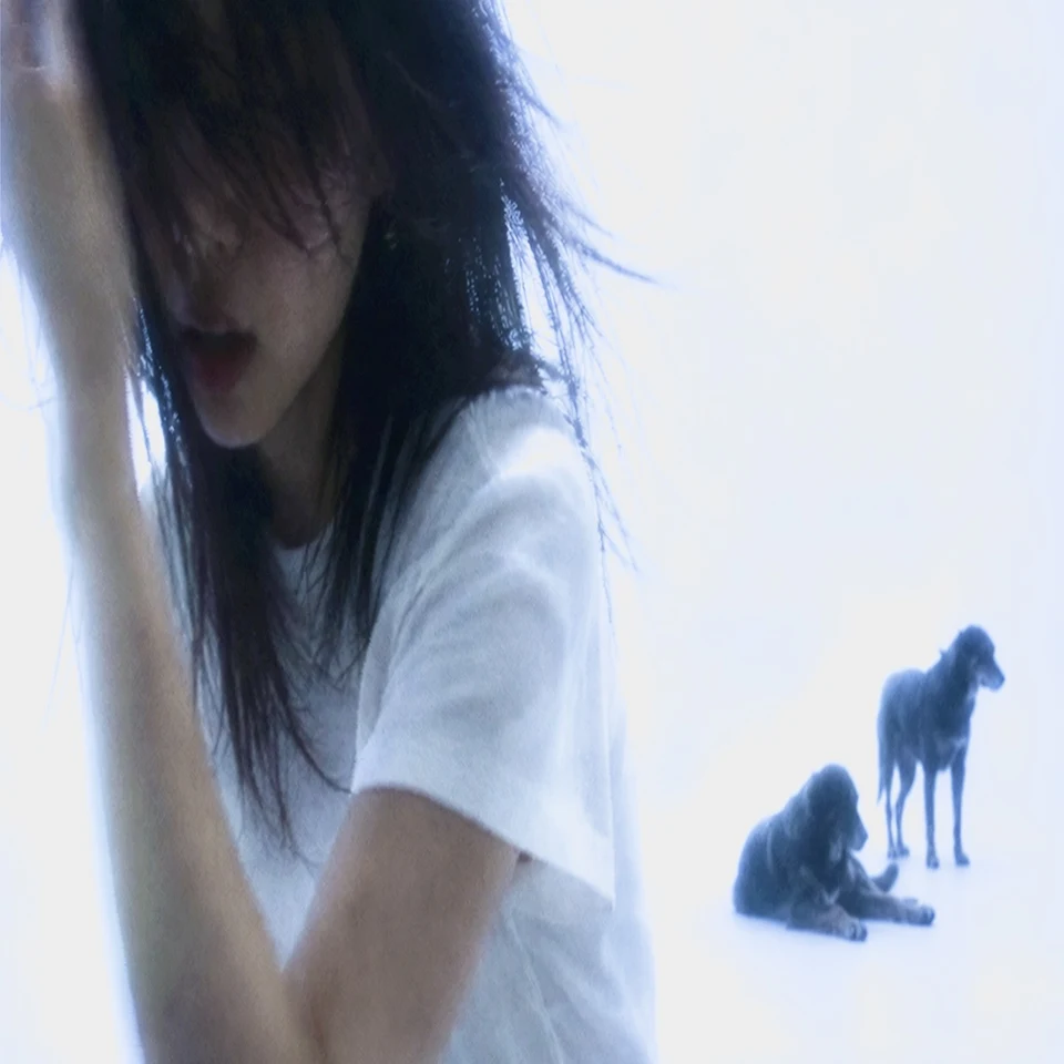 REI — 你有什么资格恨我